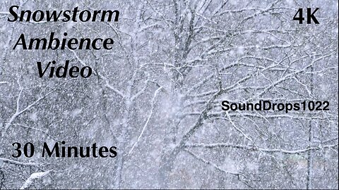 Half-Hour Frosty Retreat: 30 Minutes Snow Ambience