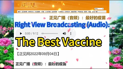 正见广播（音频）：最好的疫苗 Right View Broadcasting (Audio): The Best Vaccine 2022.09.04
