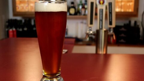 2019 Learn To Homebrew Day Vienna Lager Tasting & Recipe