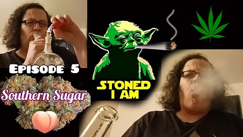 Yoda's Lettuce - Weed Strain Review #5 - Southern Sugar