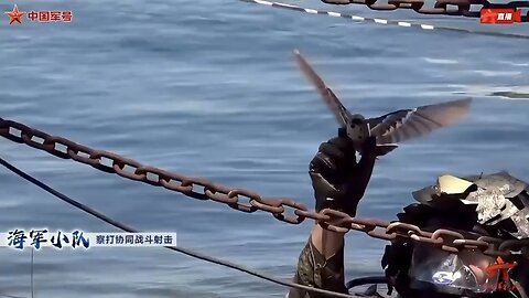 Is It A Bird or a Drone? China Releases Video Of Bird Drones As Tension Increases Over Taiwan.