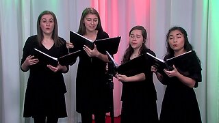 Bella Voce | Morning Blend