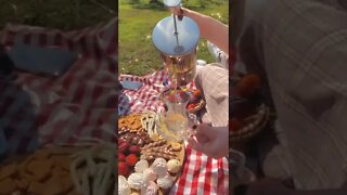 Amazing Picnic Tiktok z3n ab