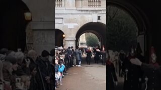 Make way tourist move #horseguardsparade