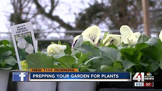 Tips for spring planting in unpredictable Kansas City weather