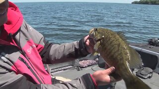 Topwater Smallmouth on Lake Mille Lacs