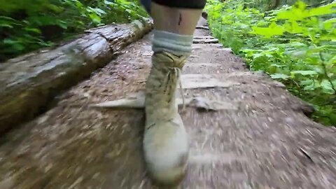 Walking On Wooden Path #short #shorts #amputee #hiking #pnw #nature