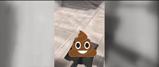 DISGUSTED AND DESPERATE: Lawyer dumps human feces on steps of Las Vegas City Hall