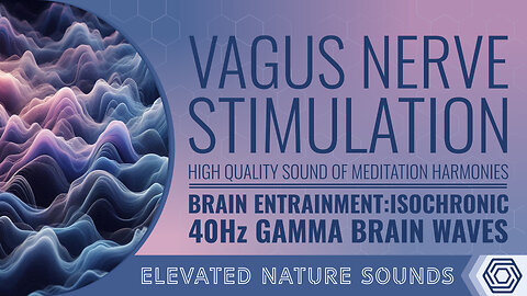 Vagus Nerve Stimulation ISOCHRONIC 40Hz Gamma BWE Anxiety Hunger Depression Weight Gain Inflamation