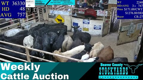 4/11/2023 - Beaver County Stockyards Livestock Auction