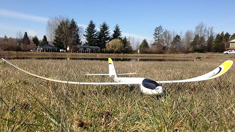 Updated Visibility Enhancements and Flight Demo - E-flite UMX Radian RC Glider with AS3X Technology