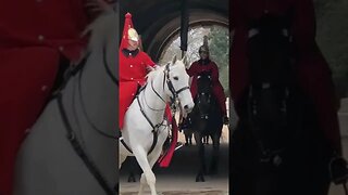 The kings guards white horse #horseguardsparade