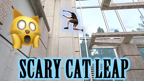 Scary Cat Leap