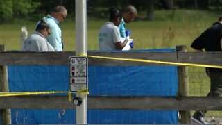 Body found in cow pasture in suburban Boynton Beach, sheriff's office says