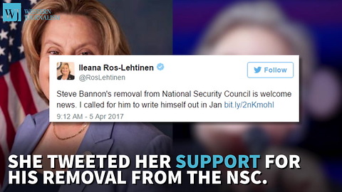 Republican Congresswoman Says Bannon’s Removal From NSC Is ‘Welcome News’