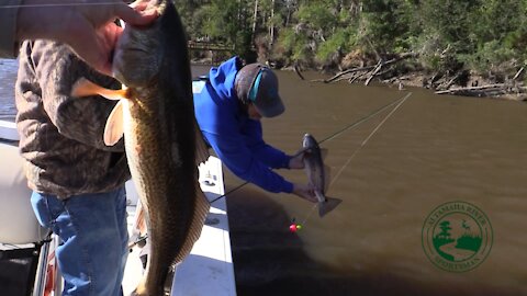 Season 2, Ep. 13: The Good, The Bad and The Ugly | Altamaha River Sportsman