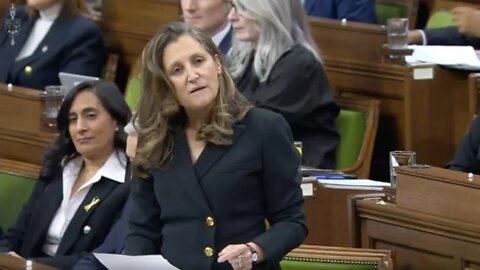 Freeland Gets Called Minister Of Netflix