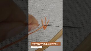 #47 Woven trellis stitch