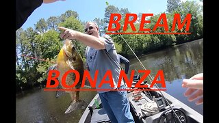 LET'S GO FISHING EVERYWHERE.....(Brother Edition) Crappie, Bass, and Bream ***BONANZA***!!!!!!!!