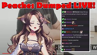 @peachesvtuber Dumped LIVE? #vtuber #clips