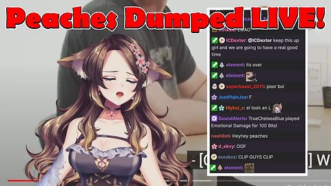 @peachesvtuber Dumped LIVE? #vtuber #clips