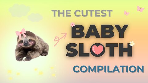 The cutest BABY SLOTHS 🦥 A Compilation of Funny and Adorable Sloths