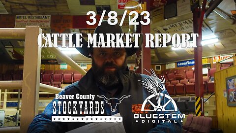 3/8/23 Beaver County Stockyards Cattle Market Report