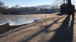 January Morning Along the Yough River