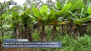Belo Oriente: Projeto Ajuda Agricultores que Tiveram Prejuízos com o Rompimento de Barragem.
