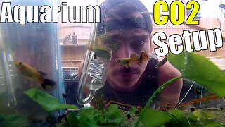 Revving Up Your Aquarium With CO2