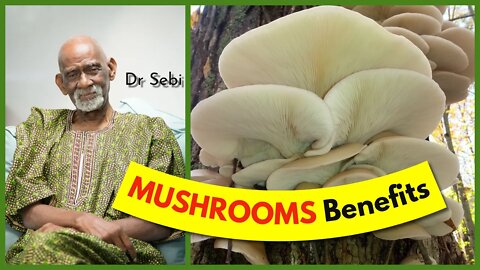 DR SEBI - BENEFITS OF MUSHROOM - MEDICINE & FOOD #drsebi #drsebiapproved