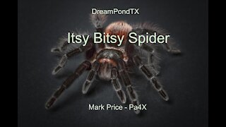 DreamPondTX/Mark Price - Itsy Bitsy Spider (II) (Pa4X at the Pond, PU)