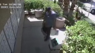 Man seen spraying over surveillance cameras