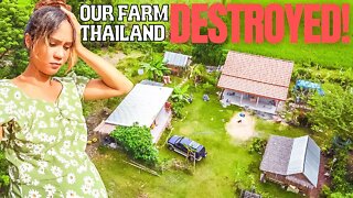 Our THAILAND Farm DESTROYED... Again!