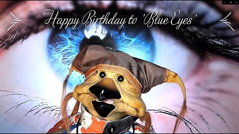 Happy Birthday to 'Blue Eyes' from @rebelsreptilesandgames
