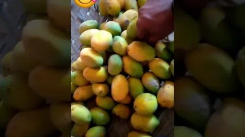 Aam khaa lo Friends😍 #viralvideo Desi mango #yummy 😋