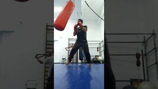 Kick, punch, Elbow and Knee The Bag (15)