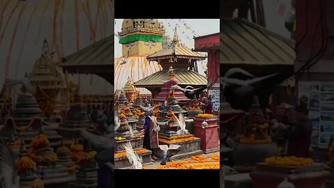 A visit to Swayambhunath Monkey Temple Kathmandu Nepal - 4k