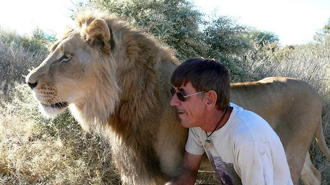 Mane Attraction: Man Cuddles and Kisses Huge Pet Lion
