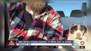 Man Drives Across Country to Bring Dog to Owner