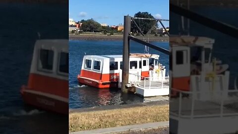 Torquay Ferry Devonport Tasmania. #trending #shorts #merchantnavy #lifeatsea #ferry #river #tasmania