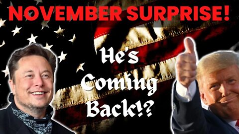 A November Surprise from Elon Musk?? The Return of Donald Trump to Twitter!