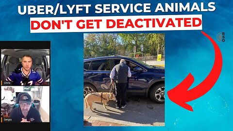 Uber & Lyft ADA Service Dog Policies | Don't Get Deactivated!