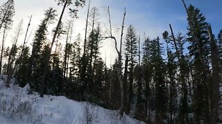 Snowshoeing the Swift Creek Trail in Whitefish, MT