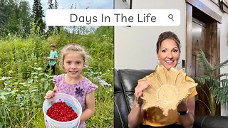 Days In The Life In Alaska / Foraging For Wild Berries / Preserving / Thrift Haul / Fun Announcement