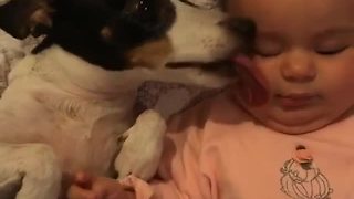 Adorable Baby Girl Wakes Up To The Wet Smooches Of Her Loving Pup