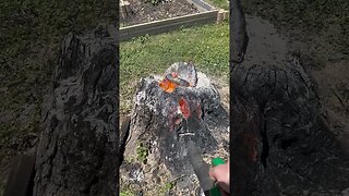 Volcano Stump!