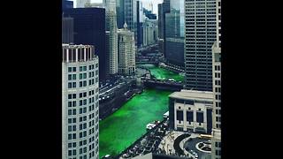 Chicago River dyed green for St. Patrick's Day [VIDEO]