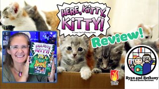 Here, Kitty Kitty Review!