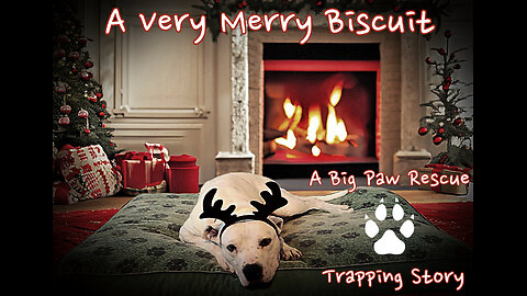 A Very Merry Biscuit